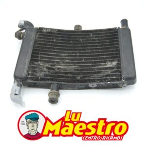 RADIATORE USATO ORIGINALE MALAGUTI PER SCOOTER F-15 FIREFOX NOTE: USATO CODICE: 10802000 Prodotto Usato Used Product USED GENUINE MALAGUTI  F-15 FIREFOX RADIATOR NOTE: USED CODICE: 10802000